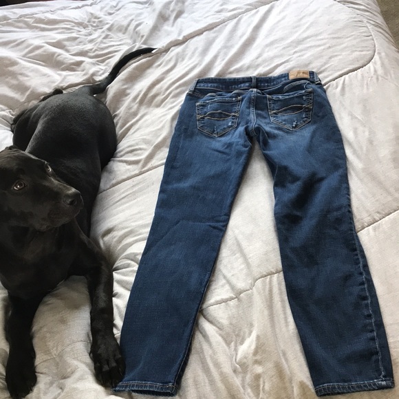 Abercrombie &  Finch Jeans - Picture 2 of 4